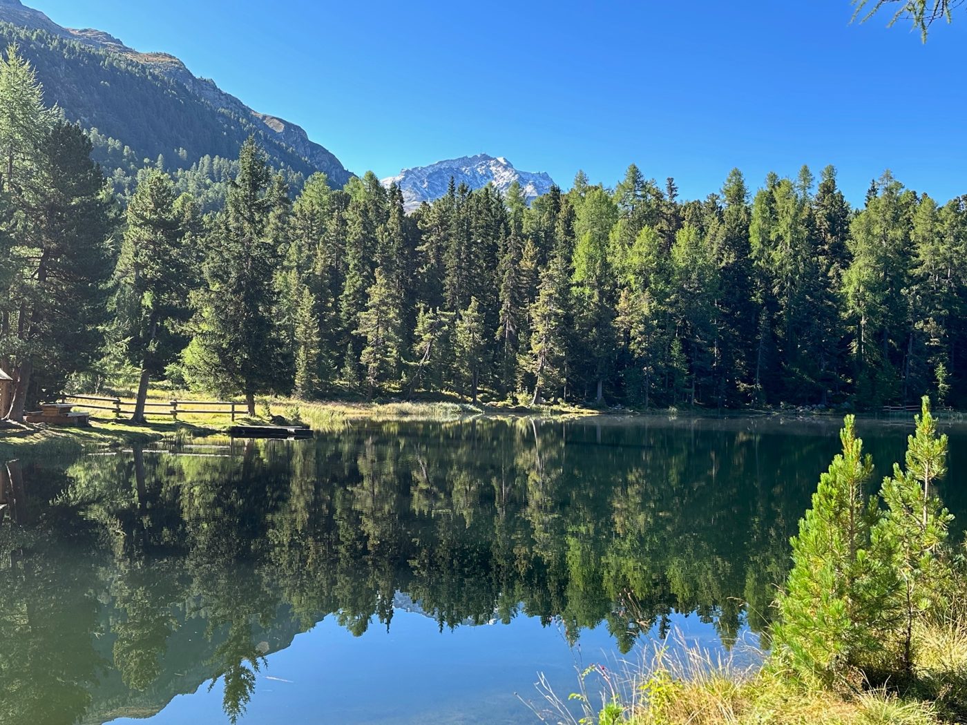 Bergsee mit Lärchenwald im Engadin